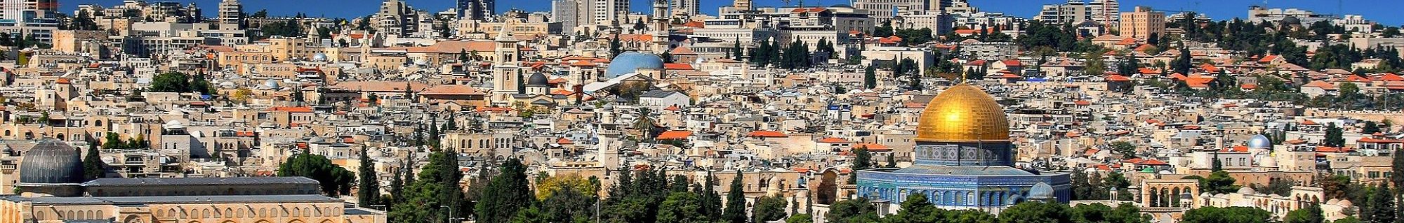 غانية ملحيس